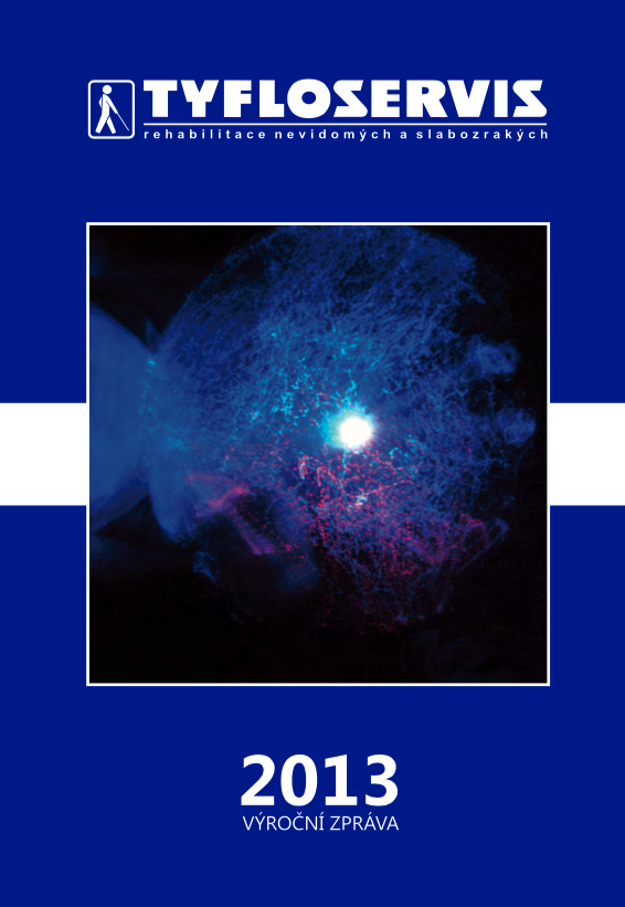 Výroční zpráva 2013