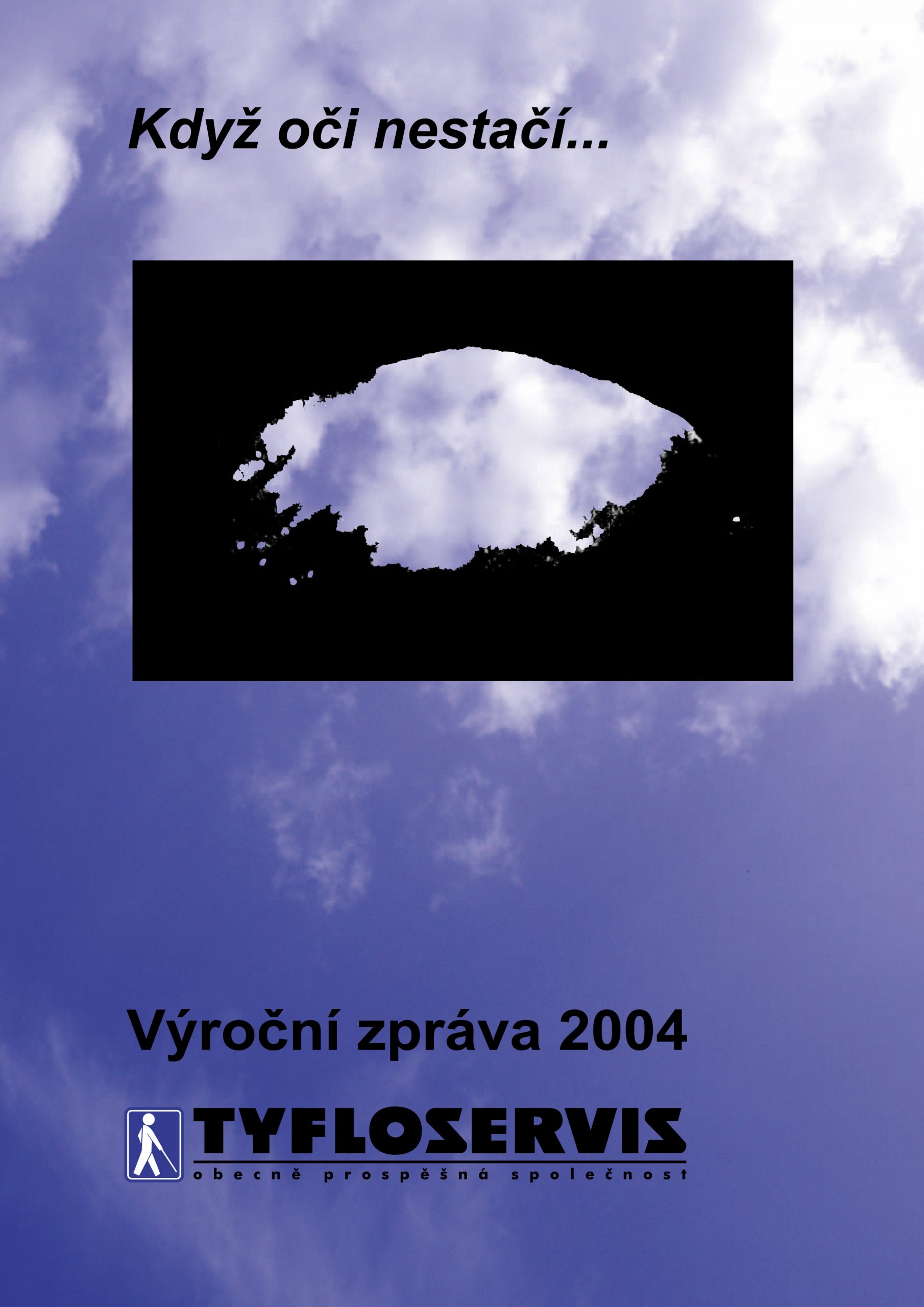 Výroční zpráva 2004